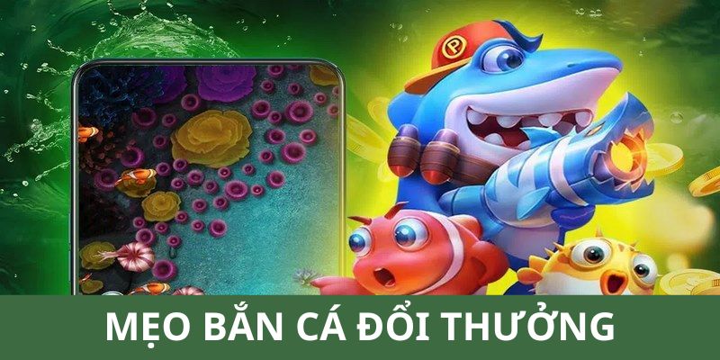 Tổng hợp chiến thuật giúp người chơi săn cá hiệu quả 