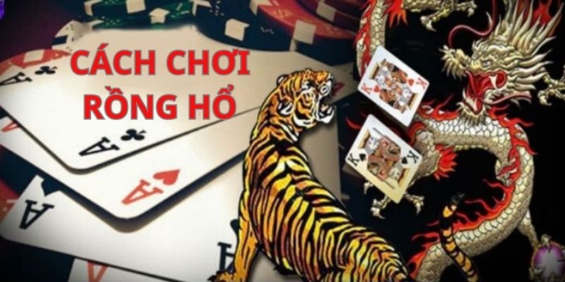 Cách chơi rồng hồ ảnh đại diện